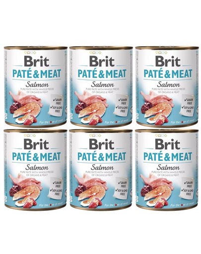 BRIT Pate&Meat salmon 6x800 g pasztet z łososiem dla psa