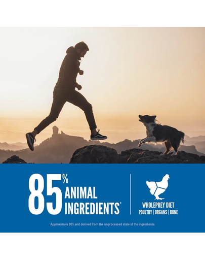 ORIJEN Original Dog 6 kg