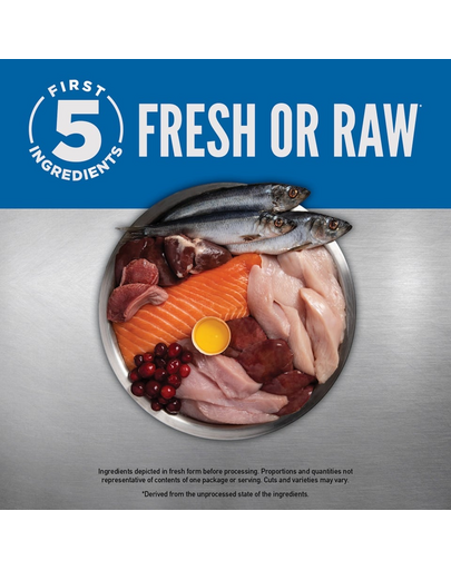 ORIJEN Original Dog 340 g