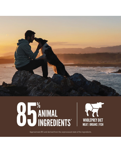 ORIJEN Regional Red 6 kg