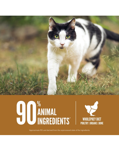 ORIJEN Cat & Kitten 340 g