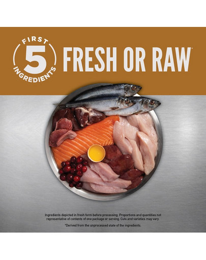 ORIJEN Original Cat 1,8 kg