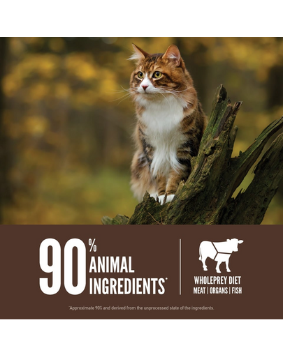 ORIJEN Regional Red Cat 5.4 kg