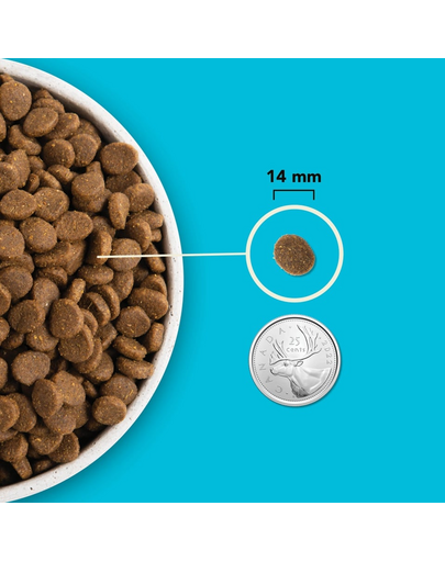 ACANA Pacifica Dog 6 kg