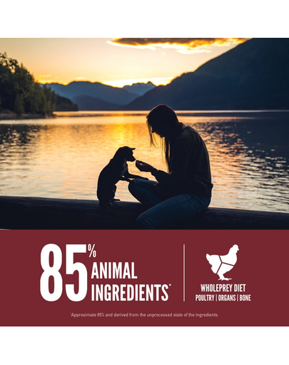 Small Breed Dog 1,8 kg