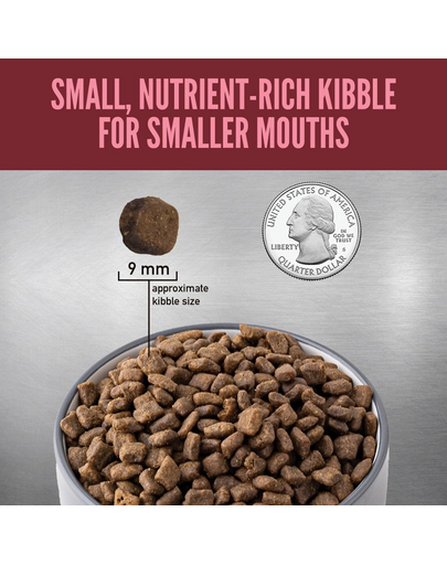 Small Breed Dog 1,8 kg