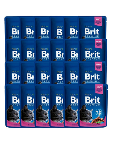 Premium Adult kurczak i indyk saszetka dla kota 24 x 100g