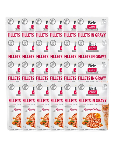 Care Fillets in gravy savory salmon 24 x 85 g filety łososia w sosie