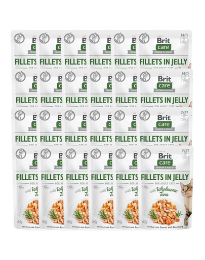 Care Fillets in Jelly tuńczyk saszetki dla kota 24 x 85 g