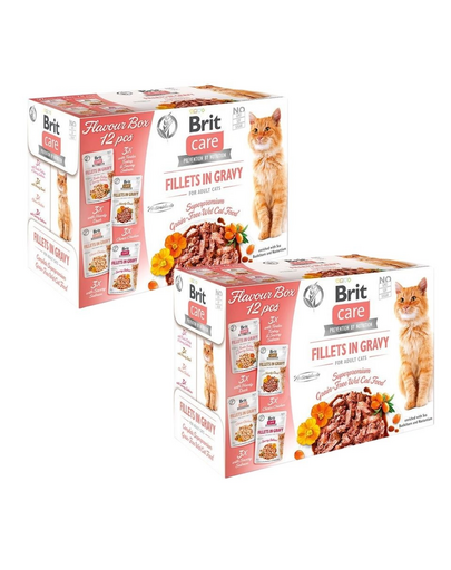 BRIT Care Fillets in Gravy Cat 24 x 85 g lazac és pulyka, lazac, kacsa és csirke szószban macskák számára