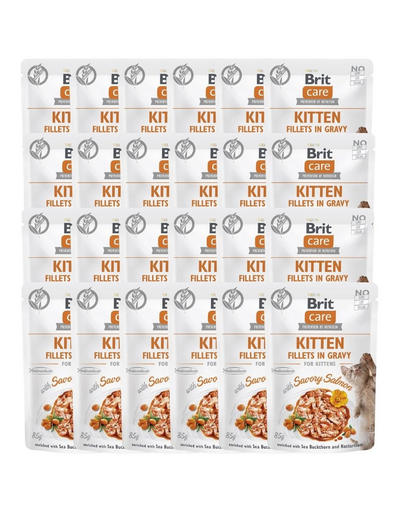 CARE Fillets in Gravy Pouch Kitten Savory Salmon 24x85g z łososiem dla kociąt
