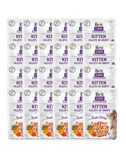Care Fillets in gravy with tender turkey 24 x 85 g indyk w sosie