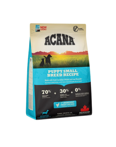 Puppy small breed dog 2 kg