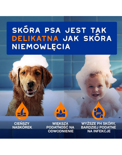 DOUXO Skin & Coat 2in1 Conditioning Shampoo 250 ml szampon z odżywką 2w1 dla psów