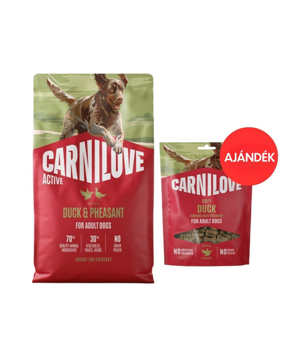 CARNILOVE Active Dog Duck and Pheasant Adult 4 kg kacsa és fácán kutyáknak + CARNILOVE Dog Soft Snack Duck 200g AJÁNDÉK