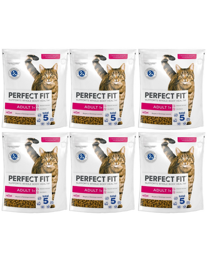 PERFECT FIT Adult 1+ 6x750 g sucha karma pełnoporcjowa dla dorosłych kotów bogata w świeżego łososia