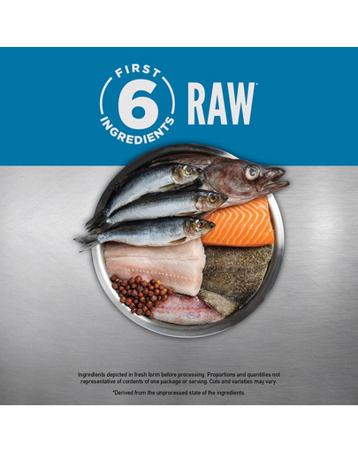 6 Fish Dog 11,4 kg