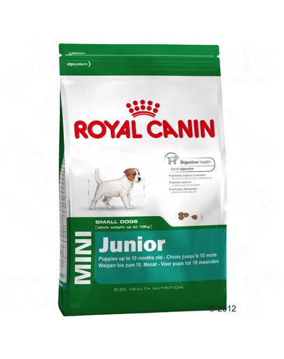 ROYAL CANIN Mini junior 500g + 300g ajándék !
