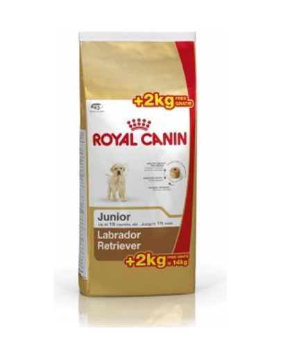 ROYAL CANIN Labrador retriever junior 12+2 kg ajándék