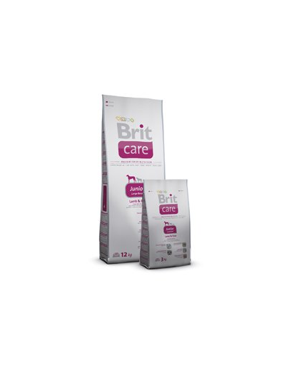 BRIT Care junior large breed lamb - rice 3 kg
