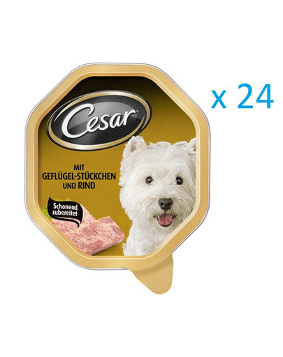 CESAR szárnyassal és zöldséggel mártásban 015 kg x24