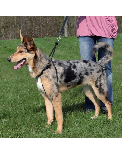 TRIXIE Hám kutyáknak "EASY WALK" L 40-60 cm