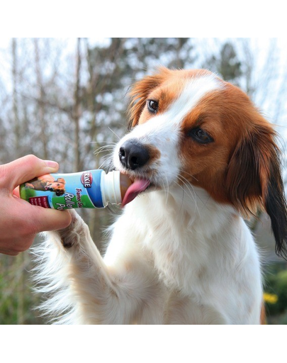 TRIXIE Nyalóka stiftben, csirke ízben, kutyáknak 45ml