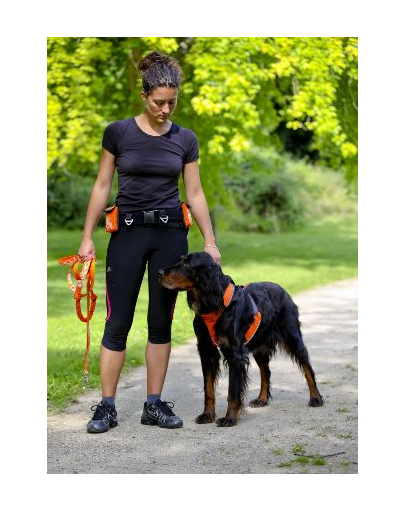 ZOLUX Hám futáshoz-jogginghoz Canisport XL zöld