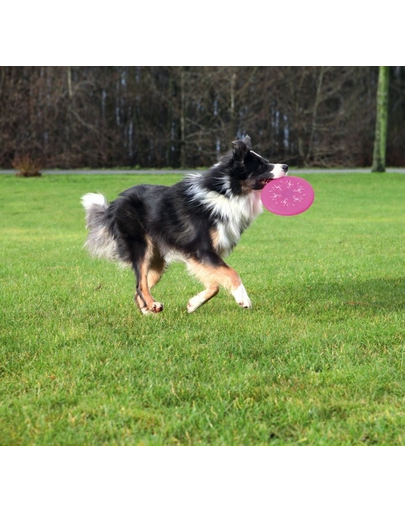 TRIXIE Villagó korong, átmérő 20 cm