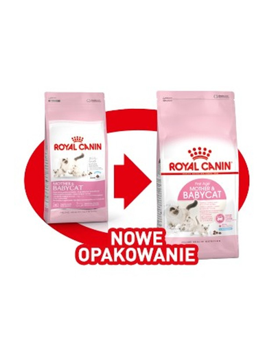 ROYAL CANIN Babycat 34 10 kg