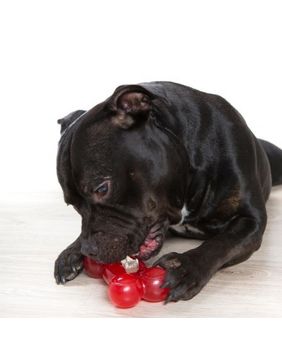 COMFY Játék Strong Dog Bone 16,5cm