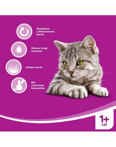 WHISKAS Krémleves marhahússal 85 Gr