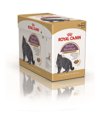 ROYAL CANIN Multipack British Shorthair 4 x 85 g