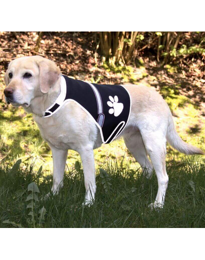 TRIXIE Fényvisszaverős mellény Flash USB, M: 42–62 cm