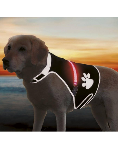 TRIXIE Fényvisszaverős mellény Flash USB, M: 42–62 cm