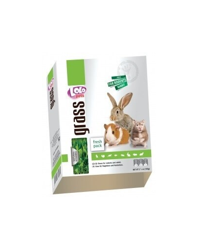 LOLO PETS Fű rágcsálóknak dobozban 100G