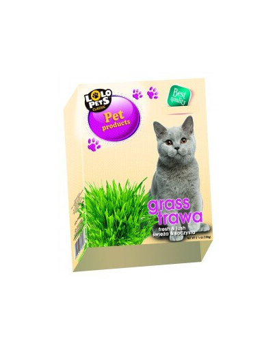LOLO PETS Macskafű dobozban- 36db