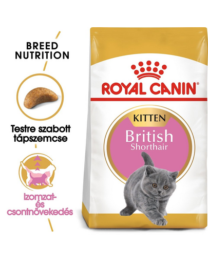 ROYAL CANIN BRITISH SHORTHAIR KITTEN - Brit rövidszőrű kölyök macska száraz táp 10 kg