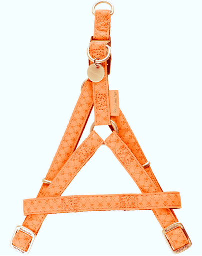 ZOLUX Állítható hám Mac Leather 15 mm szín narancssárga