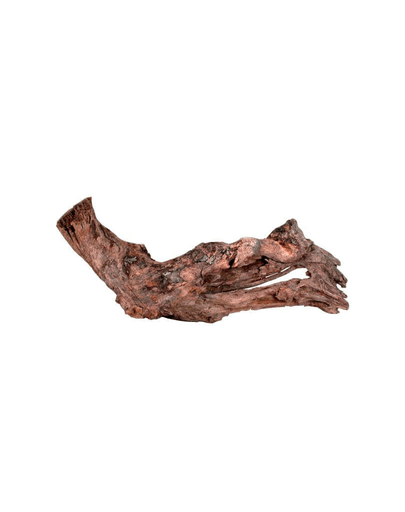 ZOLUX Mangrove gyökér  15-25 cm