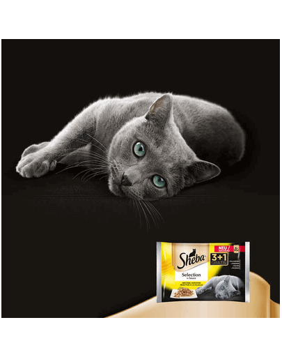 SHEBA Selection in Sauce szárnyas ízek szószban 4 x 85g