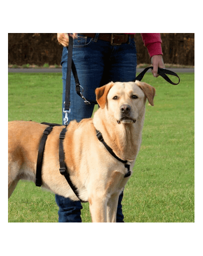 TRIXIE Hám Stay XS–S: 30–40 cm-10 mm