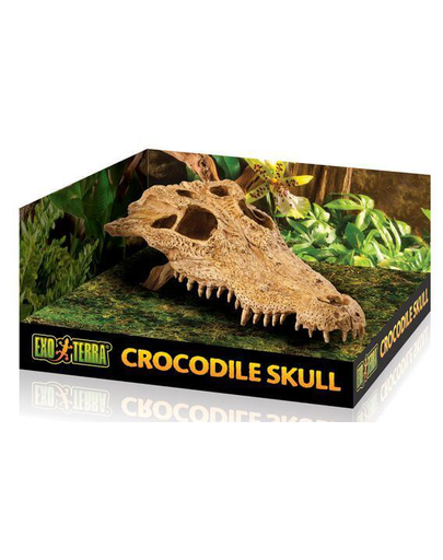 EXOTERRA Rejtekhely krokodil koponyája