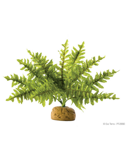 EXOTERRA Műnövény – Páfrány Boston Fern S