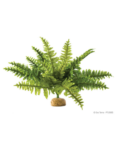 EXOTERRA Műnövény  – Páfrány Boston Fern M