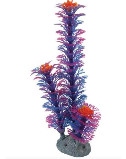 ZOLUX  Dísz növény, kék M 22 cm