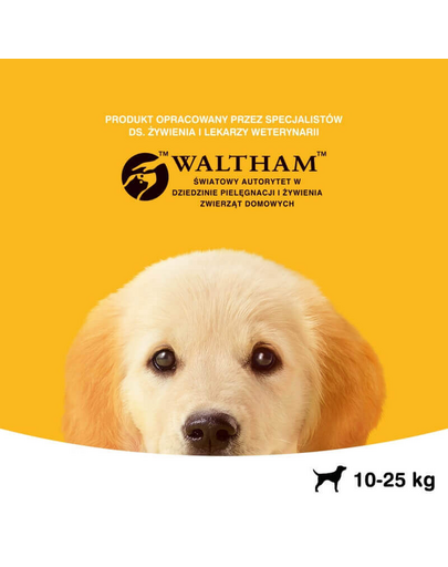 PEDIGREE Junior közepes termetű kutyáknak 2.2 kg + 400g ajándék