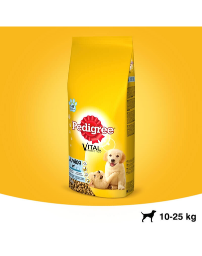 PEDIGREE Junior közepes termetű kutyáknak 2.2 kg + 400g ajándék