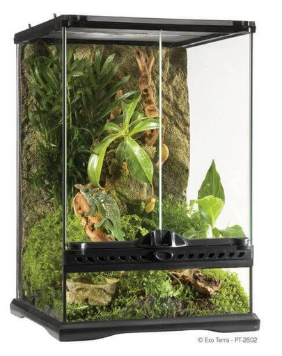 EXOTERRA Üveg terrárium MINI 30x30x45cm