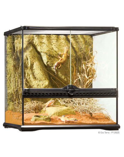 EXOTERRA Üveg terrárium SMALL 45x45x45cm